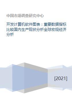 計算機軟件開發(fā) 重要數(shù)據(jù)指標(biāo)比較與國內(nèi)外生產(chǎn)現(xiàn)狀及全球宏觀經(jīng)濟(jì)分析