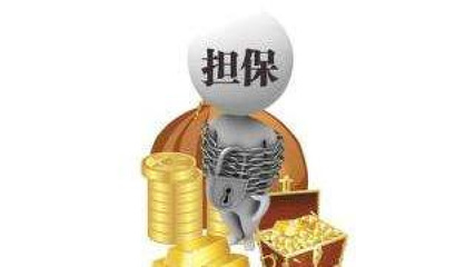 非融資性擔(dān)保 金融領(lǐng)域的重要補充