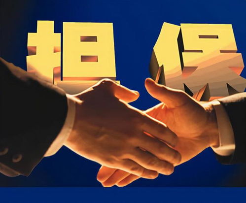 泰安弘澤擔(dān)保 勇做服務(wù)實(shí)體經(jīng)濟(jì)主力軍，破解小微三農(nóng)融資難題